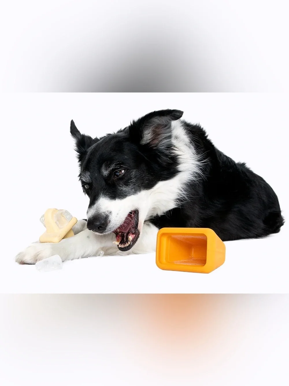 Bark Box Super Chewer Pupsicle dog Freezer Treat maker NEW M-L Tough Chewer kit